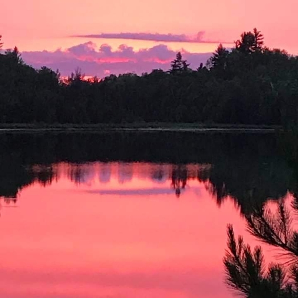 Meet your Posher, Liz - Picture 6 of 7